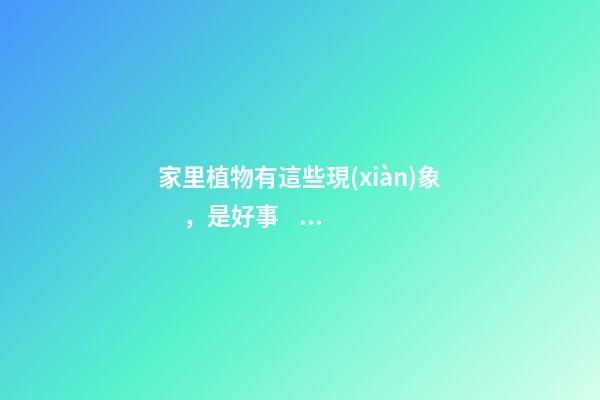 家里植物有這些現(xiàn)象，是好事，預(yù)示你家要發(fā)大財了！